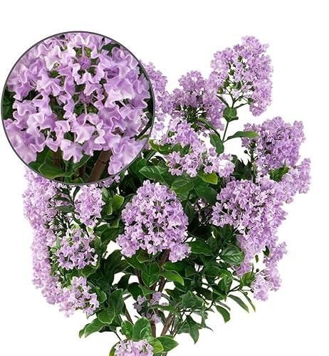 Silky Flower Store Artificial Purple Flower Tree, Handmade Floral Decor, Lifelike Faux Plant, Indoor Outdoor Accent, 36cm 6 6 Product: Vivid Purple Lifelike Artificial Flower Tree - 36" Handmade Floral Decor for Home, Living Room, Weddings, Banquets, and Funerals - Stunning Decorative Flowers