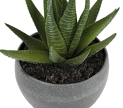 Product: Wahome-Smart Artificial Succulent Plant Set of 3, 6 inches Tall, Faux Greenery in Grey Cement Pots