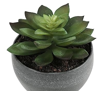 Product: Wahome-Smart Artificial Succulent Plant Set of 3, 6 inches Tall, Faux Greenery in Grey Cement Pots