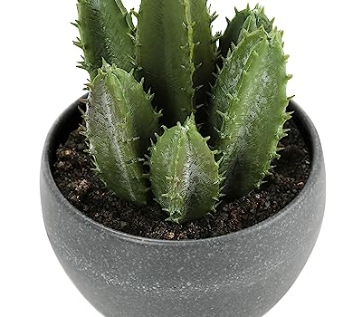 Product: Wahome-Smart Artificial Succulent Plant Set of 3, 6 inches Tall, Faux Greenery in Grey Cement Pots