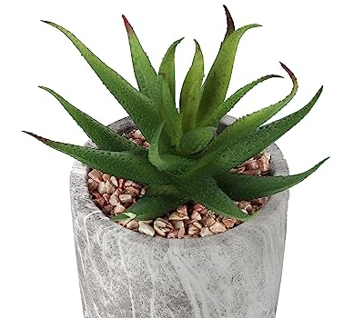 Product: Wahome-Smart Set of 2 Indoor Faux Succulents for, 6" Tall, Realistic Greenery in Grey Cement Pots