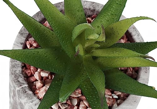 Product: Wahome-Smart Set of 2 Indoor Faux Succulents for, 6" Tall, Realistic Greenery in Grey Cement Pots