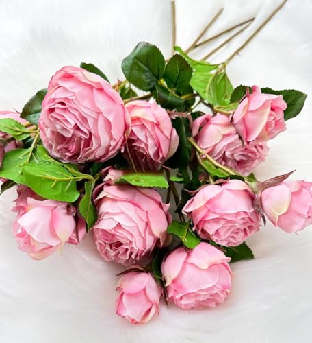 Product: WINDALY 3PCS Light Pink Cabbage Rose Stem,23" Tall Luxury Artificial Flower Bouquet for Wedding/Home Decoration (NO VASE)