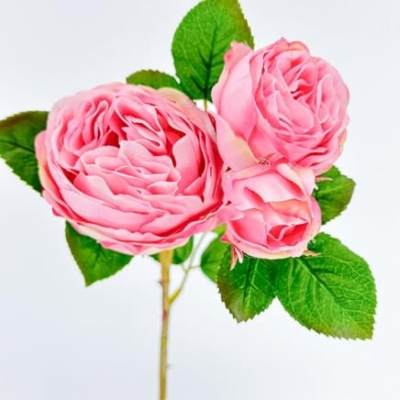 Product: WINDALY 3PCS Light Pink Cabbage Rose Stem,23" Tall Luxury Artificial Flower Bouquet for Wedding/Home Decoration (NO VASE)