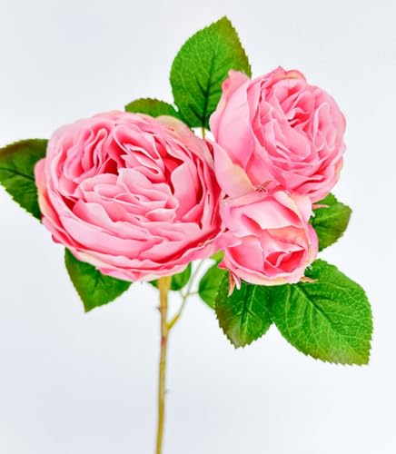 Product: WINDALY 3PCS Light Pink Cabbage Rose Stem,23" Tall Luxury Artificial Flower Bouquet for Wedding/Home Decoration (NO VASE)
