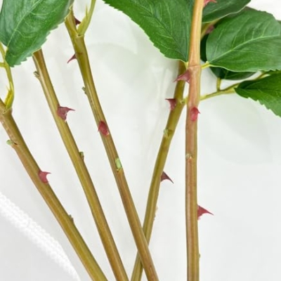 Product: WINDALY 3PCS Light Pink Cabbage Rose Stem,23" Tall Luxury Artificial Flower Bouquet for Wedding/Home Decoration (NO VASE)