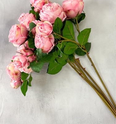 Product: WINDALY 3PCS Light Pink Cabbage Rose Stem,23" Tall Luxury Artificial Flower Bouquet for Wedding/Home Decoration (NO VASE)