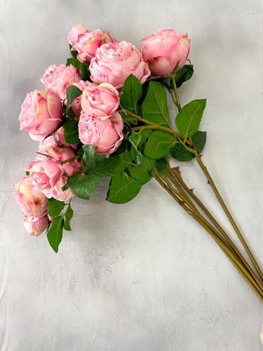 Product: WINDALY 3PCS Light Pink Cabbage Rose Stem,23" Tall Luxury Artificial Flower Bouquet for Wedding/Home Decoration (NO VASE)